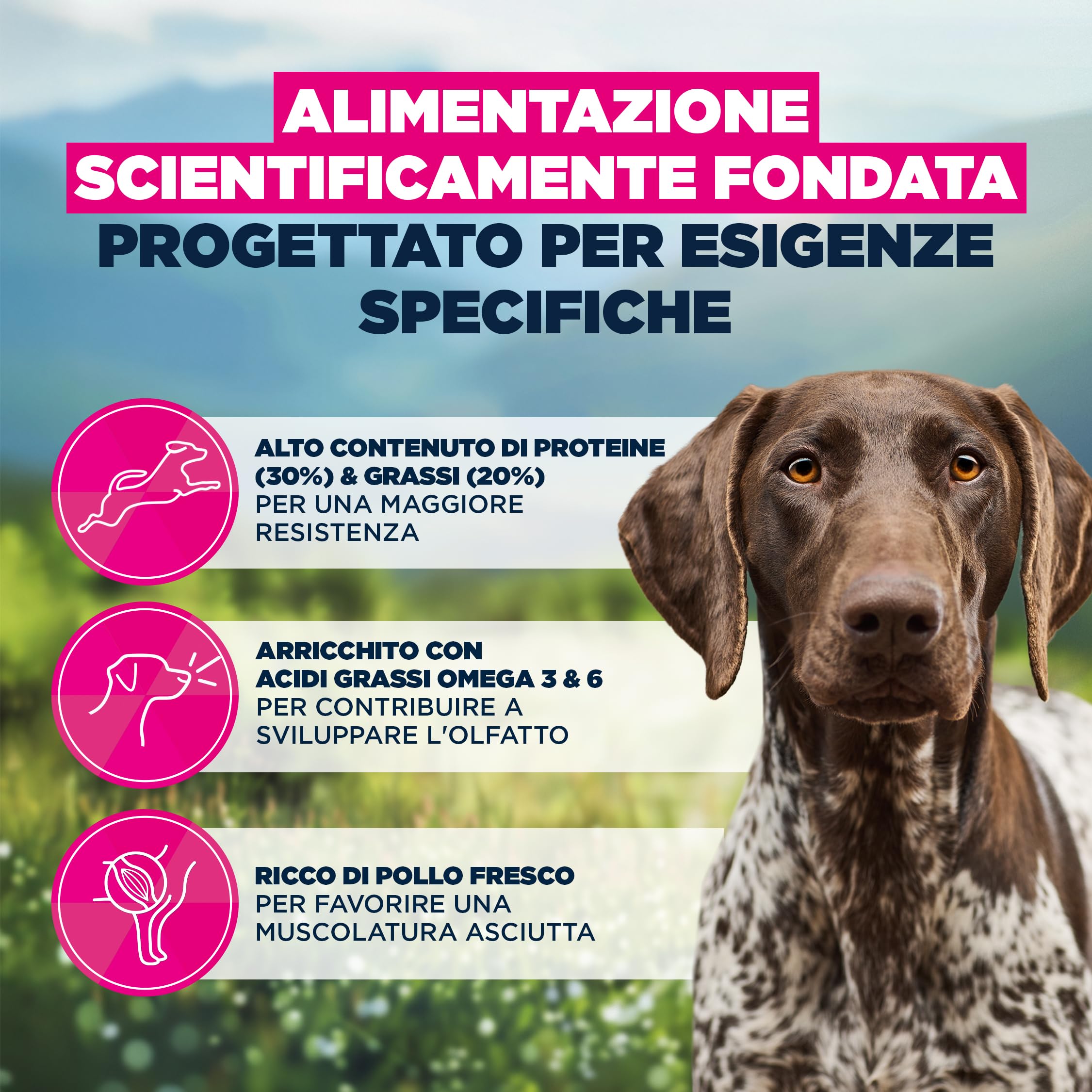 EUKANUBA Working & Endurance Cibo per cani con pollo fresco - Mangime secco Special Care ad alto contenuto energetico per cani da lavoro, cani da caccia e cagne in gravidanza o allattamento, 15 kg