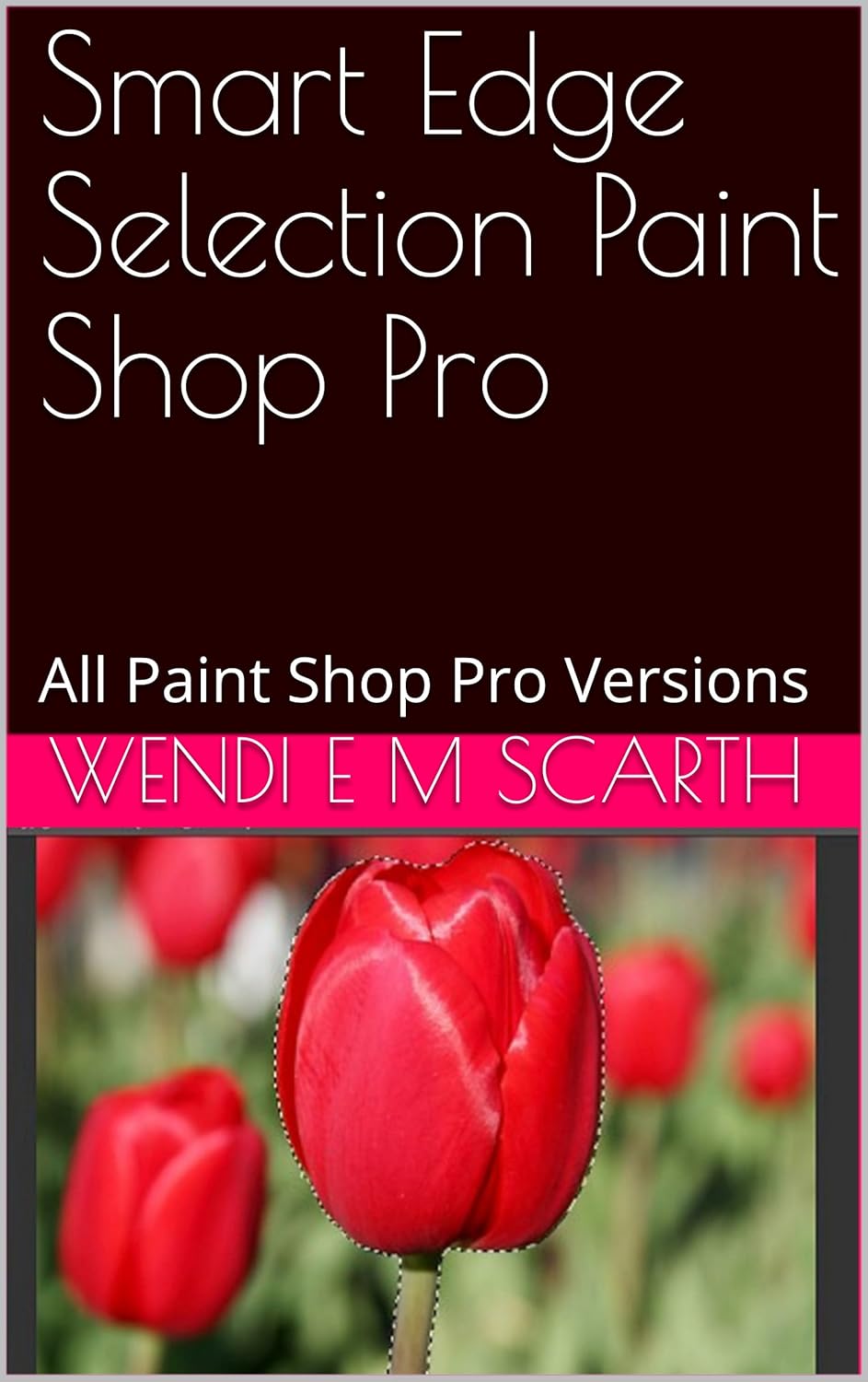 Smart Edge Selection Paint Shop Pro All Paint Shop Pro