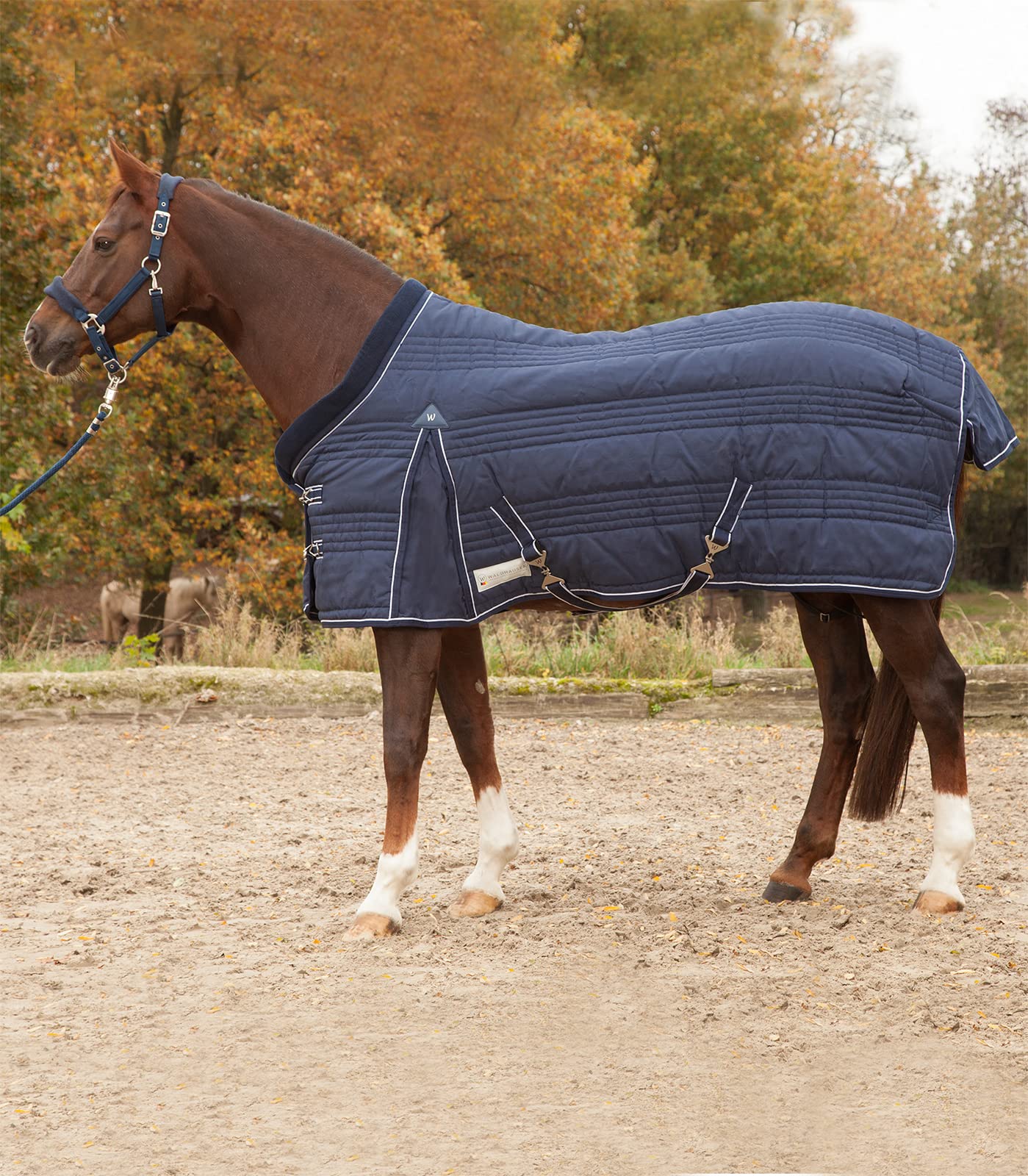 Stalldecke Comfort Line, 300 g