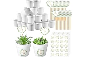 300 Pcs Let Love Grow Succulent Pots: The Ultimate Bridal Shower Favor