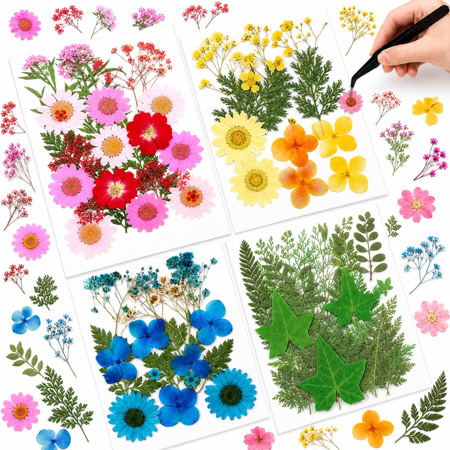 Nuanchu Real Dried Pressed Flowers Wildflowers for Crafts Resin Molds DIY