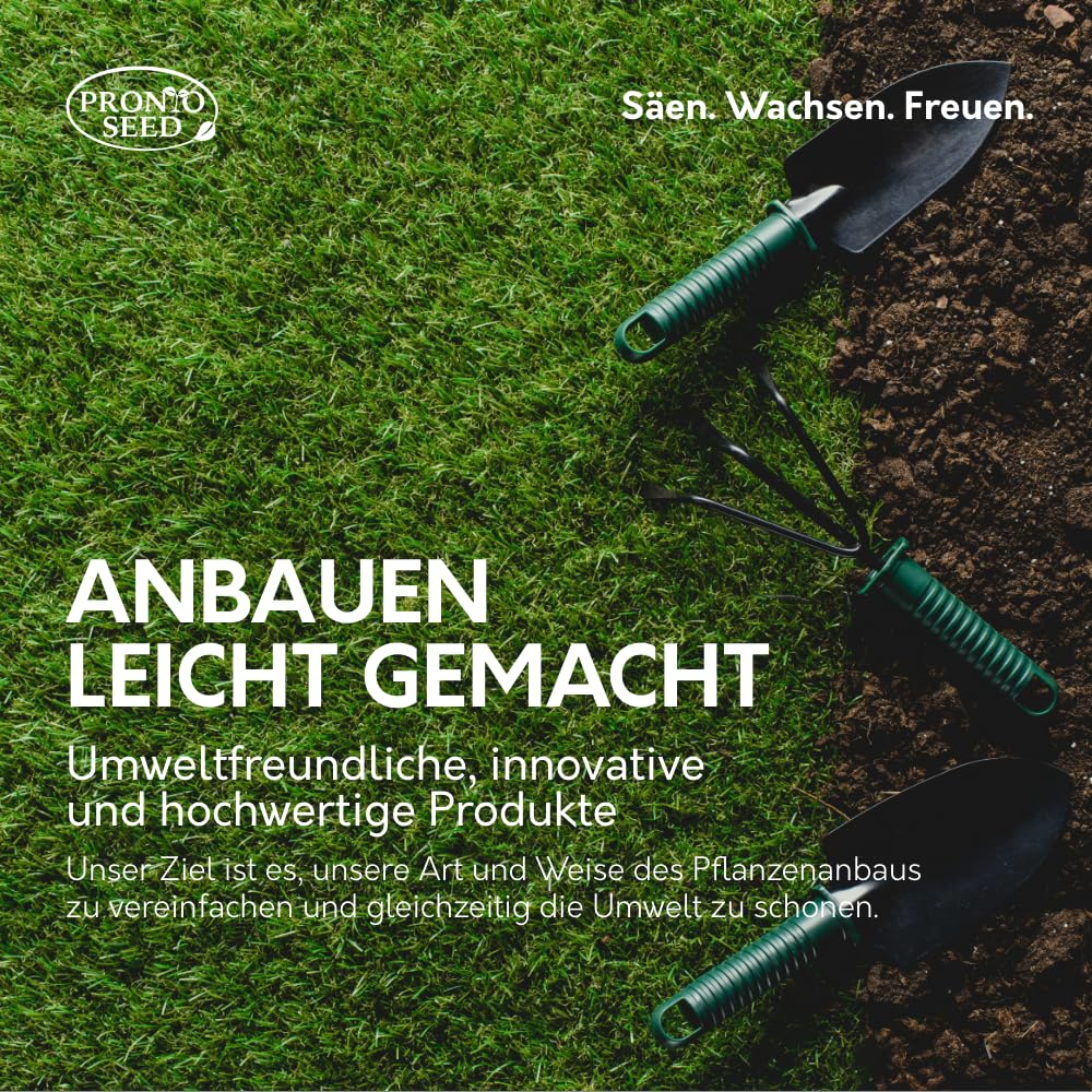Pronto Seed – Kit zum Züchten eigener Bonsai-Bäume mit 5 Sorten Bonsai-Samen – Set für Indoor-Anzucht mit nachhaltiger Verpackung – Geschenk für Mann, Frau – anfängerfreundlich (Bonsai-Kit)