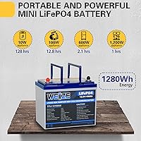 Vista 5 de WEIZE Batería de litio de 12 V/100 Ah Mini LiFePO4, BMS inteligente de 100 A incorporada, batería de ciclo profundo con protección de baja