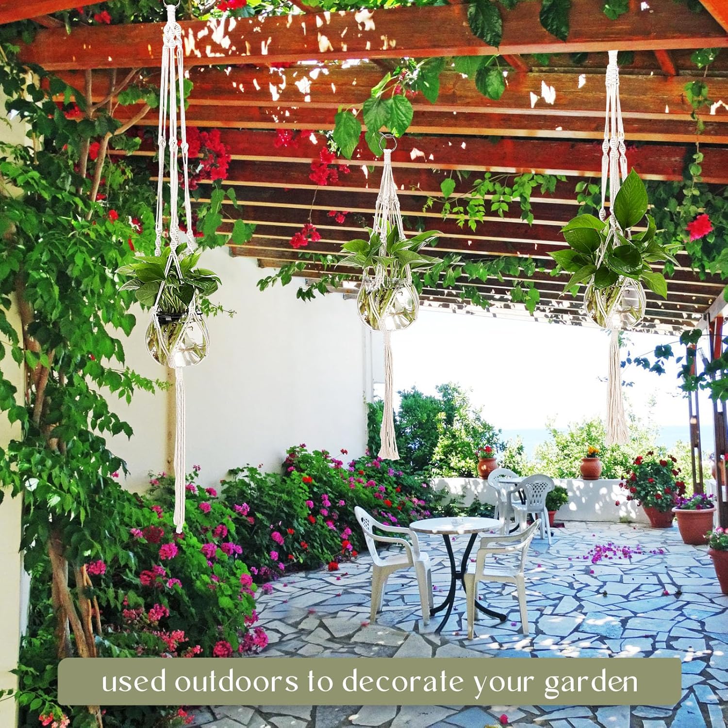 Colingmill 6 Pcs Boho Macrame Plant Hanger with Small Plastic Pot Hanging Plant Holder Wall Planter Propagation Station Include Hooks Kit for Indoor Home Garden Office Decor 3 Size (White)