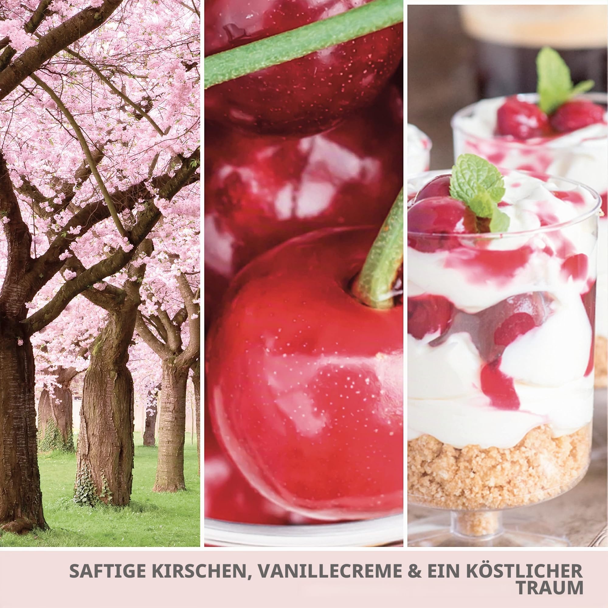 Yankee Candle Signature Duftkerze | große Kerze mit langer Brenndauer „Pink Cherry & Vanilla“ | Soja-Wachs-Mix | Perfekte Geschenke für Frauen