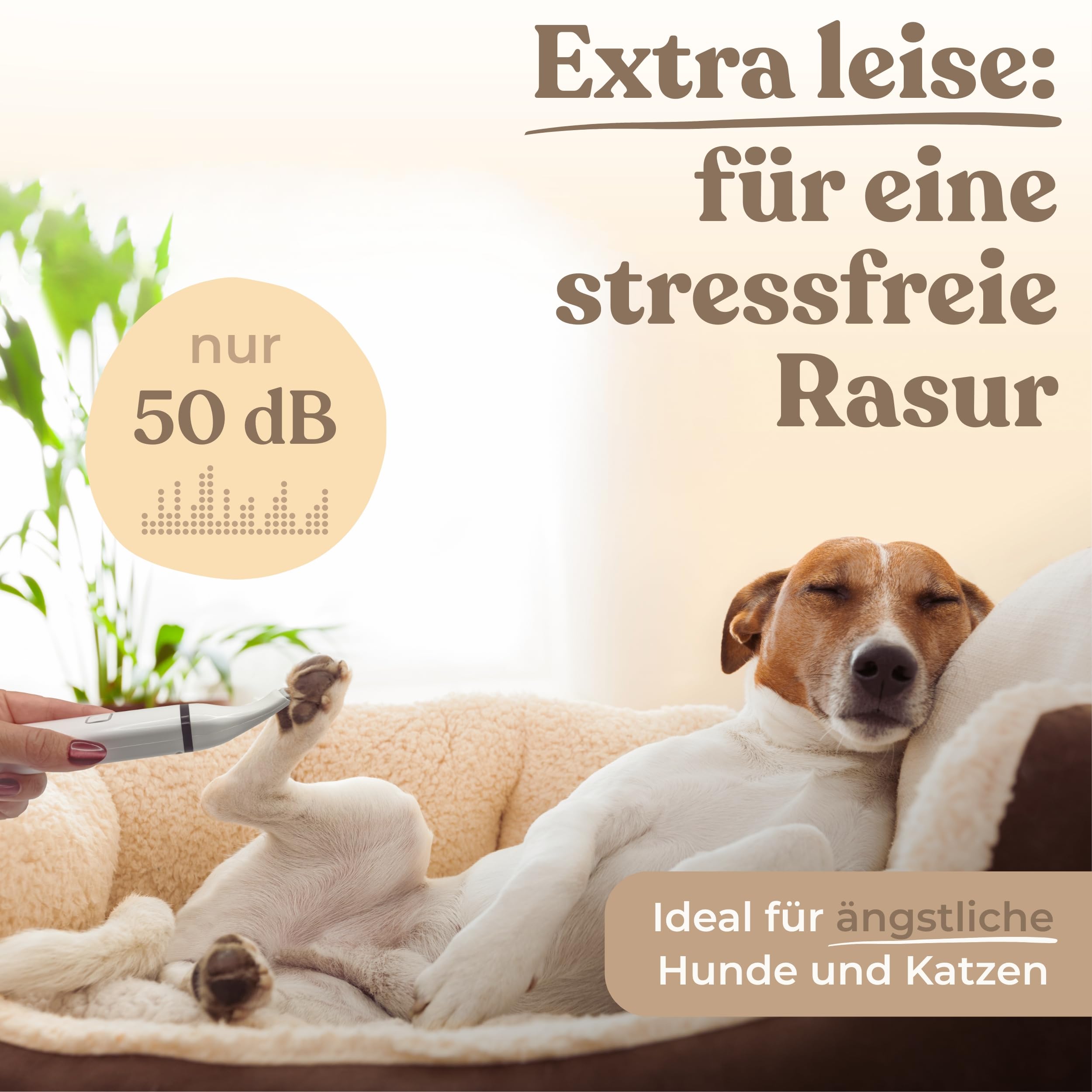 Profi Pfotentrimmer für Hunde und Katzen - Hundepfoten Trimmer leise Schermaschine Hundeschermaschine Rasierer für Augen, Ohren, Fell - starker Motor und Akku - mit USB-C