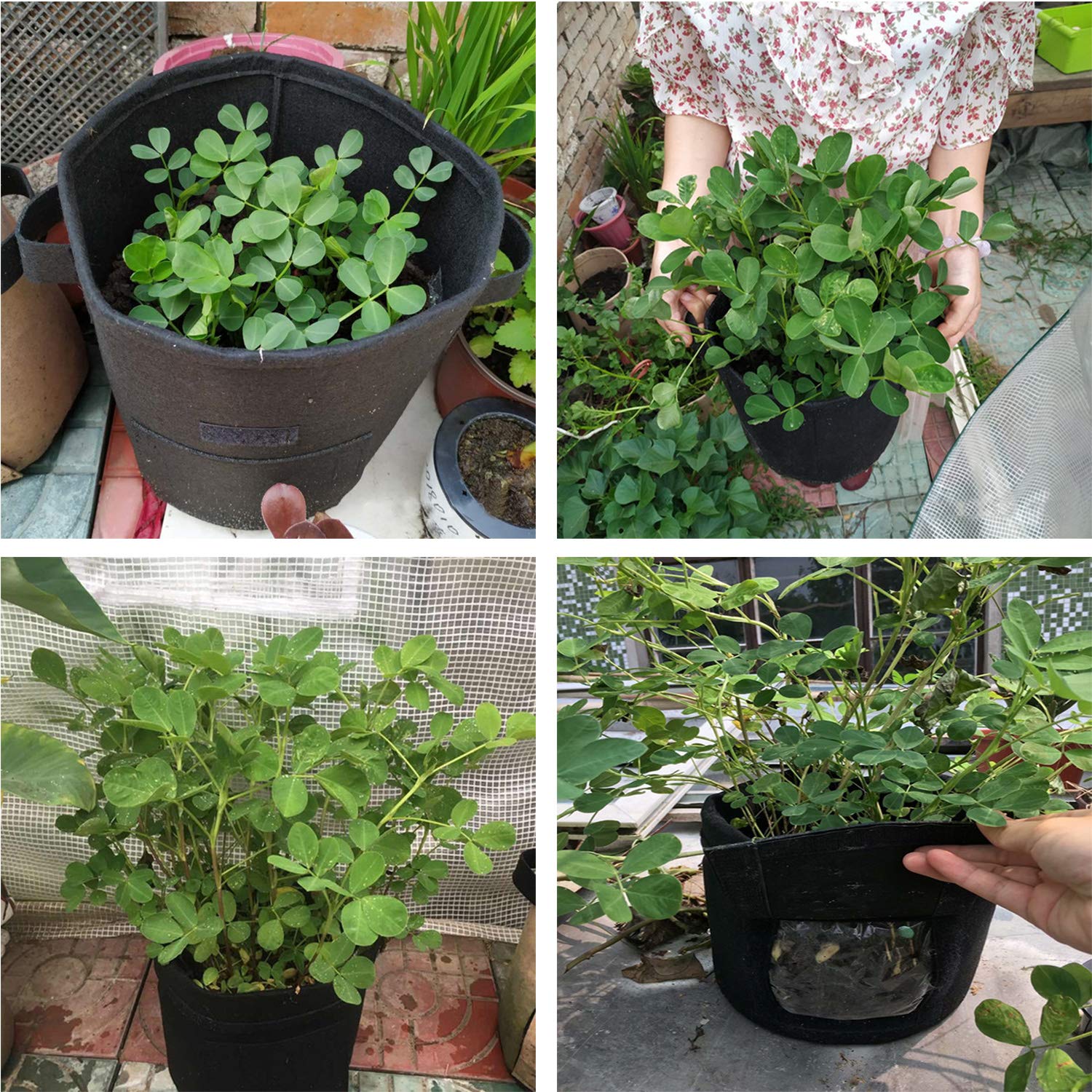 Bolsas de cultivo de patatas, macetero de cultivo de patatas de 6,5 galones, 3 paquetes, maceta con solapa y asas, bolsas de cultivo de plantas no tejidas for patatas, tomates, zanahorias y otras verd