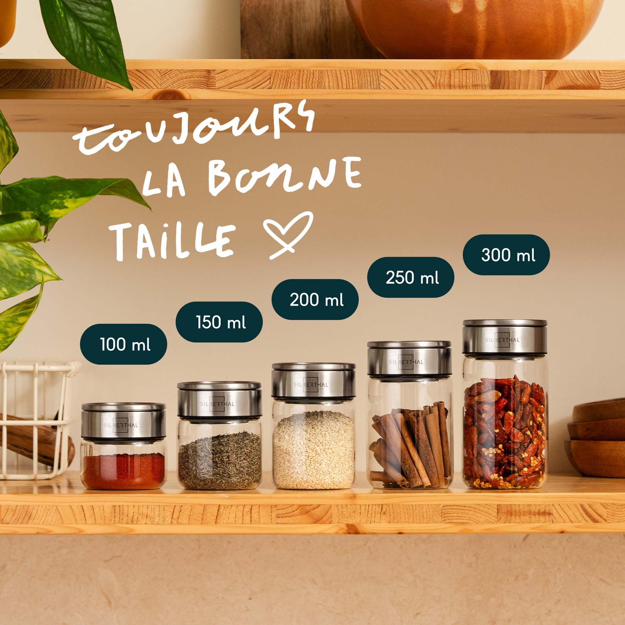 SILBERTHAL Lot de 12 Boîtes à Épices en Verre 100 ml