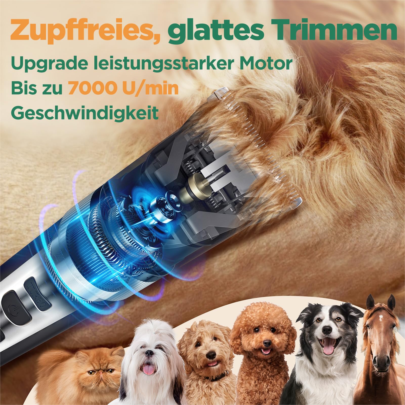 Gimars 4-in-1 Hundeschermaschine mit Hunde Trimmer, 7000 U/min Leise Hunde Schermaschinen Set, USB Aufladbare kabellose Tierhaarschneidemaschine, Schermaschine Katze Hunderasierer für dichtes Fell