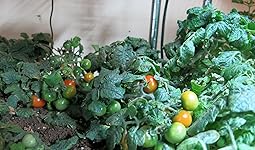 Review Image by Judy L. Judy L.