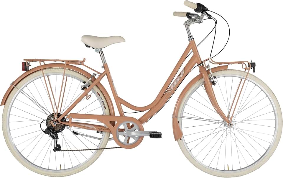 bicicletta holland