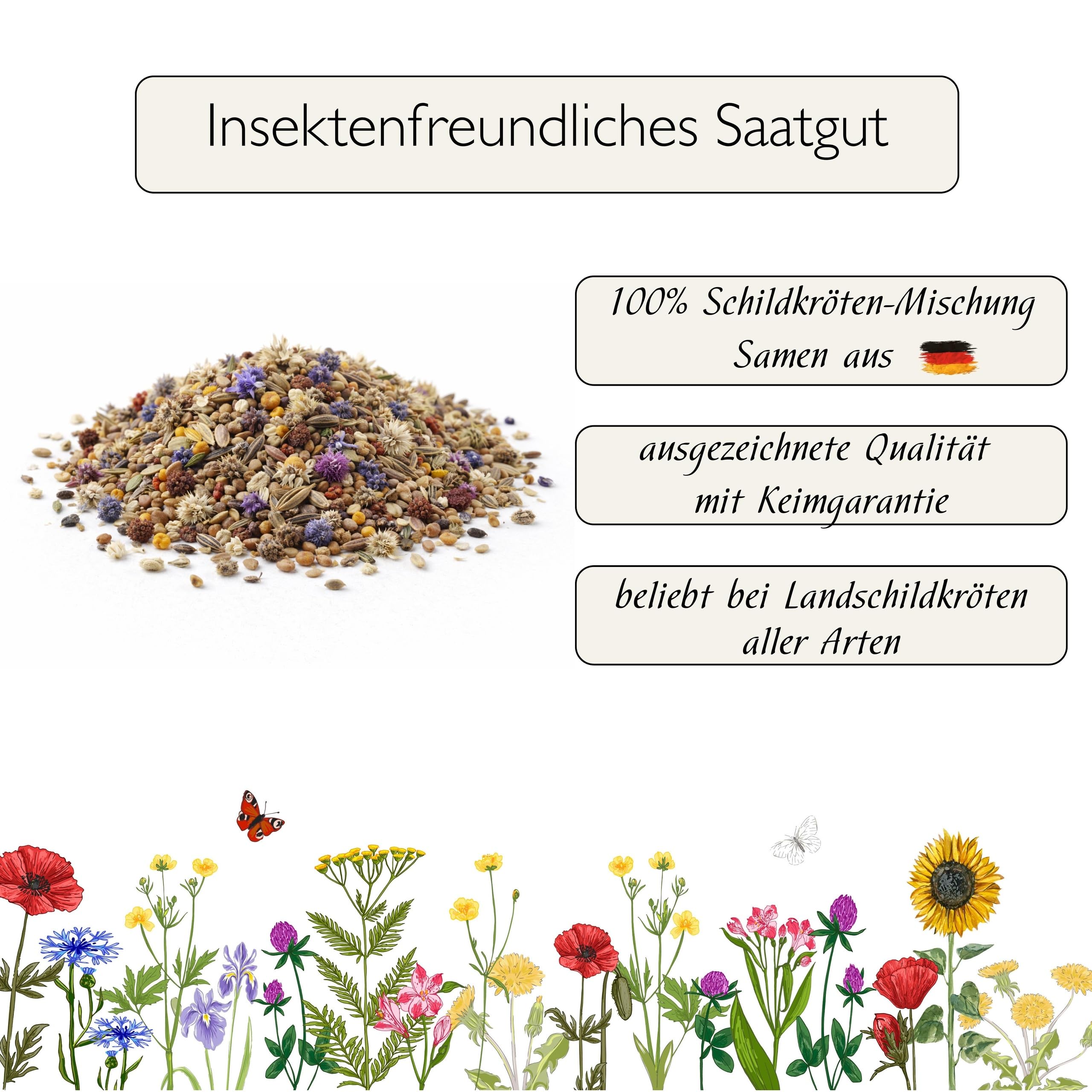 Schildkrten Futterpflanzen Mischung als Saatgut frs Gehege, mehrjhrige &  winterharte Krutermischung aus 28 Arten fr Landschildkrten (5.000 Samen)  : Amazon.de: Garten