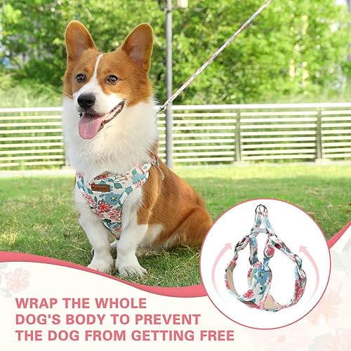 Miniatura 3 de MUMUPET Arnés para perro con juego de correa, arnés ajustable sin tirones para cachorros con chaleco acolchado para perros y gatos pequeños,
