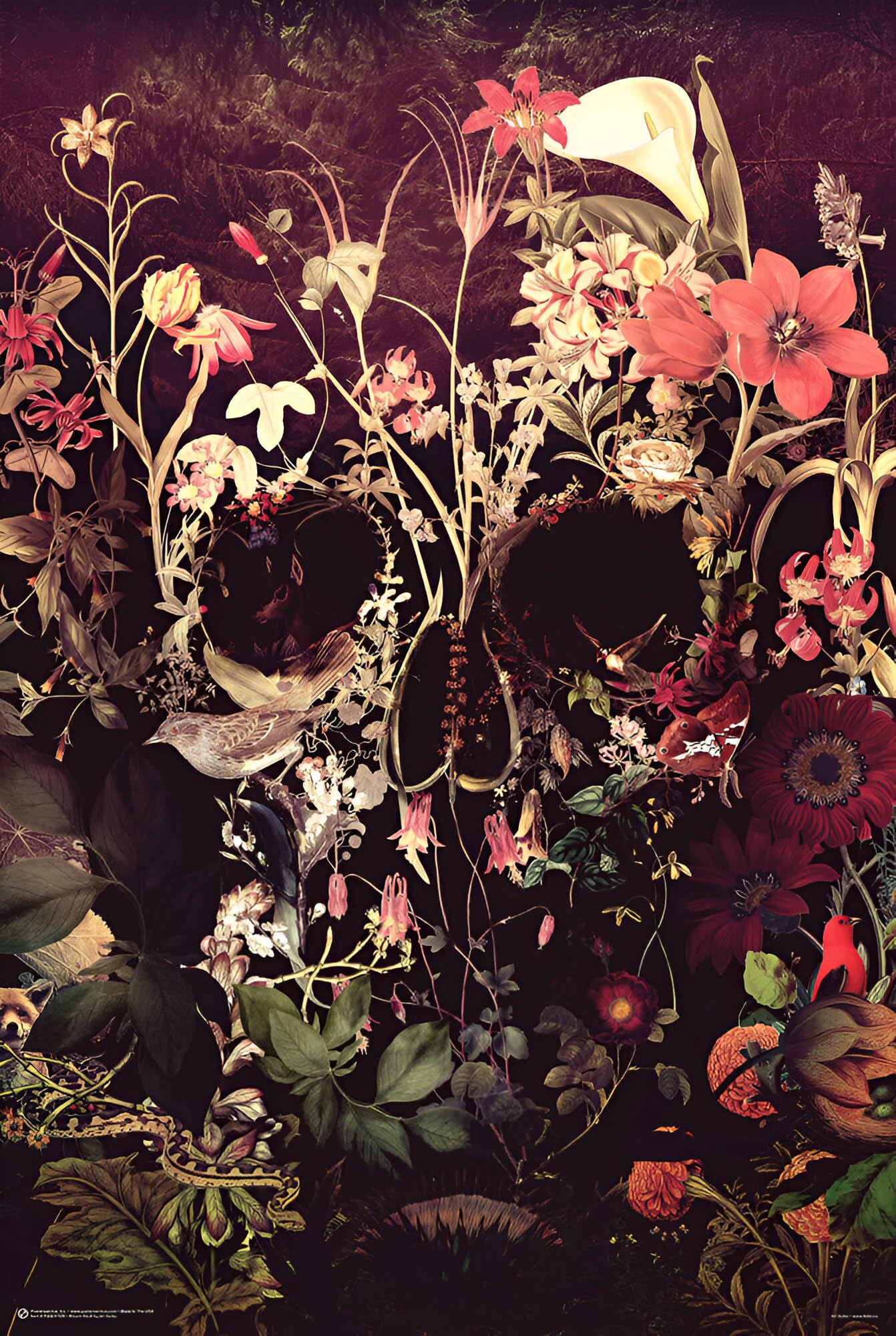 BUY ART FOR LESS Officially Licensed Bloom Skull - Ali Gulec Art Poster - 24 x 36 Inch - Decorative Print - Poster Paper - Ready to Frame