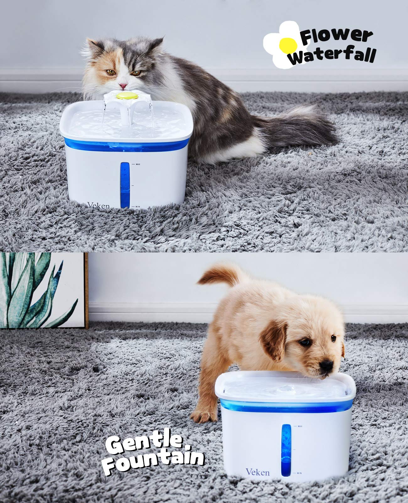 https://m.media-amazon.com/images/I/81R9ByStABL.jpg