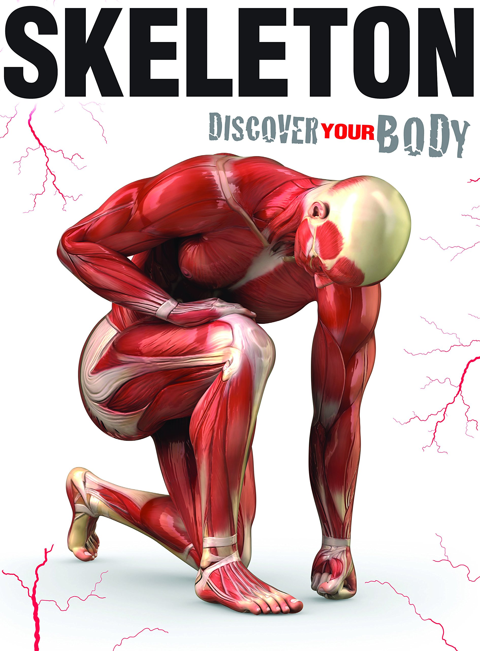 skeleton discover your  body