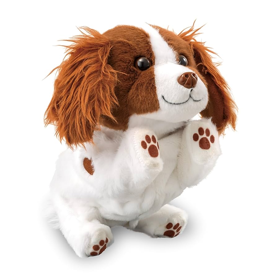 Amazon.co.jp: アガツマ(AGATSUMA) ハイタッチ！さかだっち