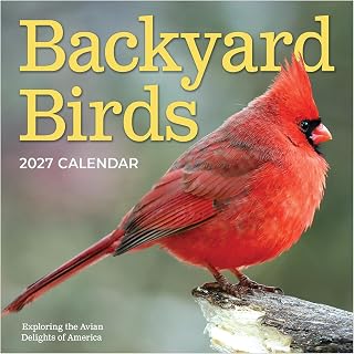 TF Publishing 2027年 裏庭の鳥 壁掛けカレンダー - 予定やスケジュールのための大きなグリッド - 縦型マンスリー壁掛けカレンダー 2027年 プレミアム光沢紙付き 自宅やオフィス整理用 - 12x12インチ