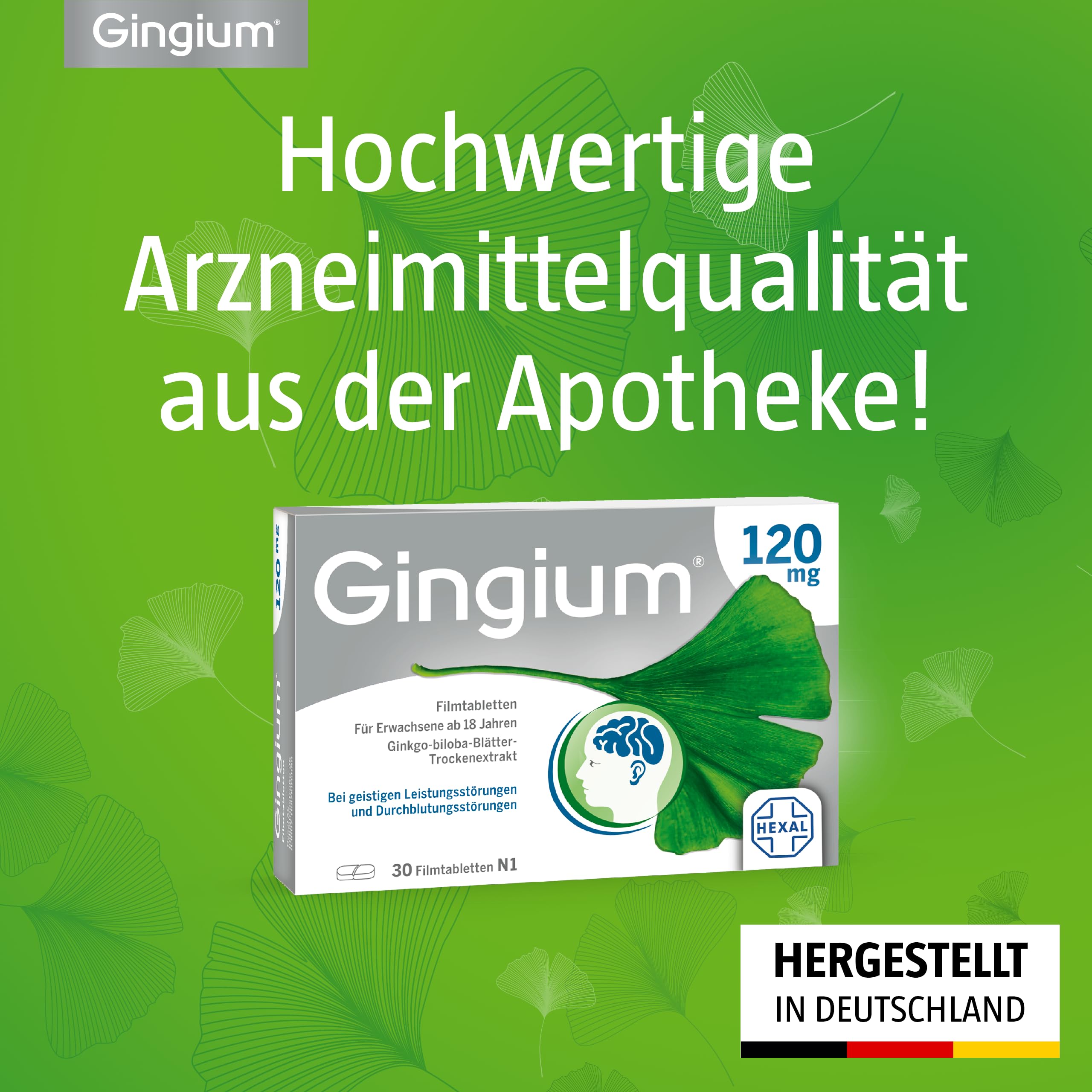 Gingium® 240 mg | Filmtabletten | Bei Vergesslichkeit* handeln | 120 Stk | Pflanzenkraft von Ginkgo biloba, ab 18 J. anwendbar | *bei nachlassender geistiger Leistungsfähigkeit (dementielles Syndrom)