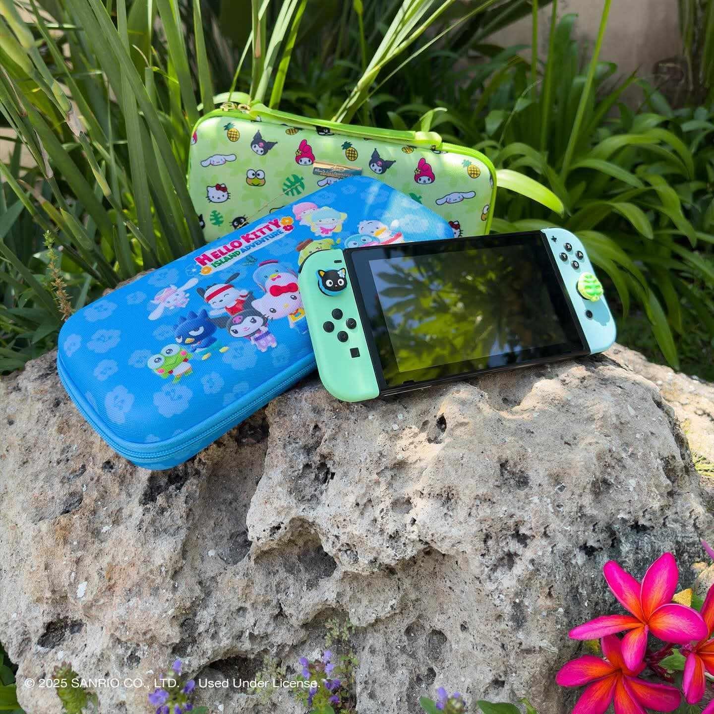 Sonix Custodia da trasporto per Nintendo Switch 2 (2025), custodia da viaggio protettiva con custodia per cartucce di gioco