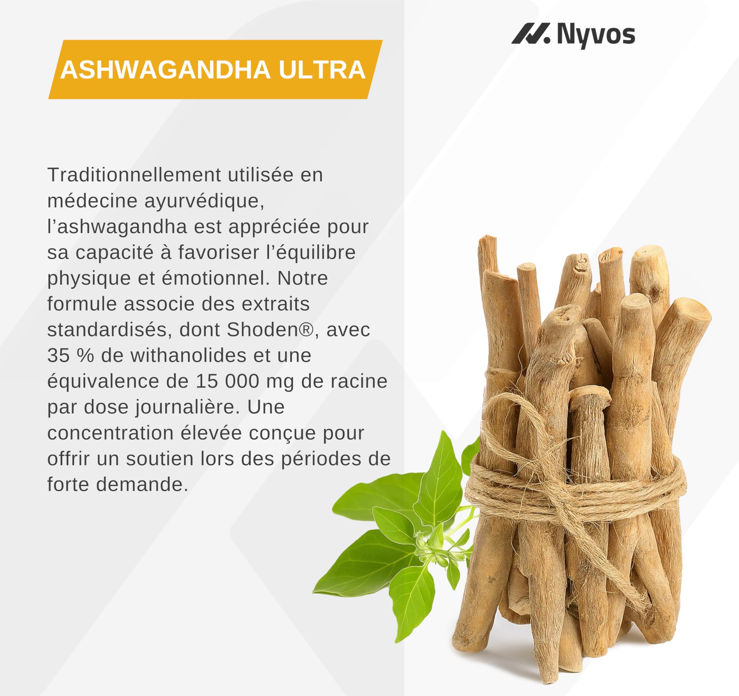 Ashwagandha Shoden Ultra® 35% de Withanolides – 15 000 mg équivalent | 7x plus concentré que l’Ashwagandha KSM-66 | Soutien à la concentration, au sommeil profond et à l’énergie | 120 gélules – Nyvos