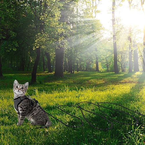 Miniatura 7 de Correa reflectante para gatos, cable para gatos de 30 pies, a prueba de escape, para caminar, patio, correa segura y duradera para jugar al aire