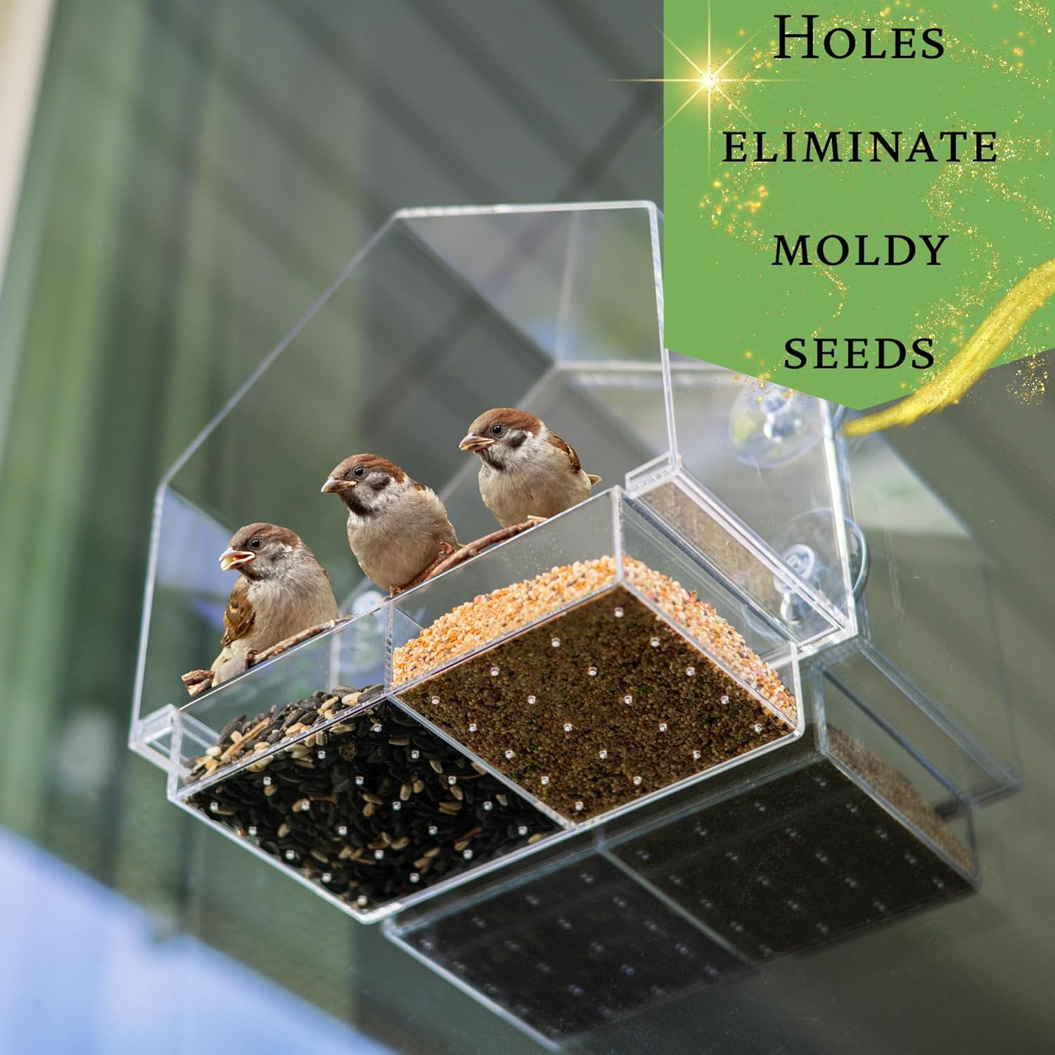 Window Bird Feeder House Shaped - Innovative Anti-Yellow Acrylic Technology - Strong Suction Cup Grip - All Weather - Ideal for Wild Birds - Senior's
