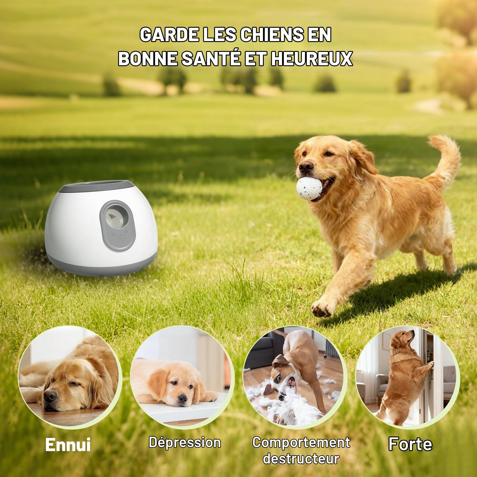 Lanceur de Balle pour Chien Automatique,Lance Balle pour Chien avec Lot de 6 balles de Tennis de 2 Pouces,Distance réglable 10/20/30 Pieds Balle Interactive Chiens Jouer en Plein air