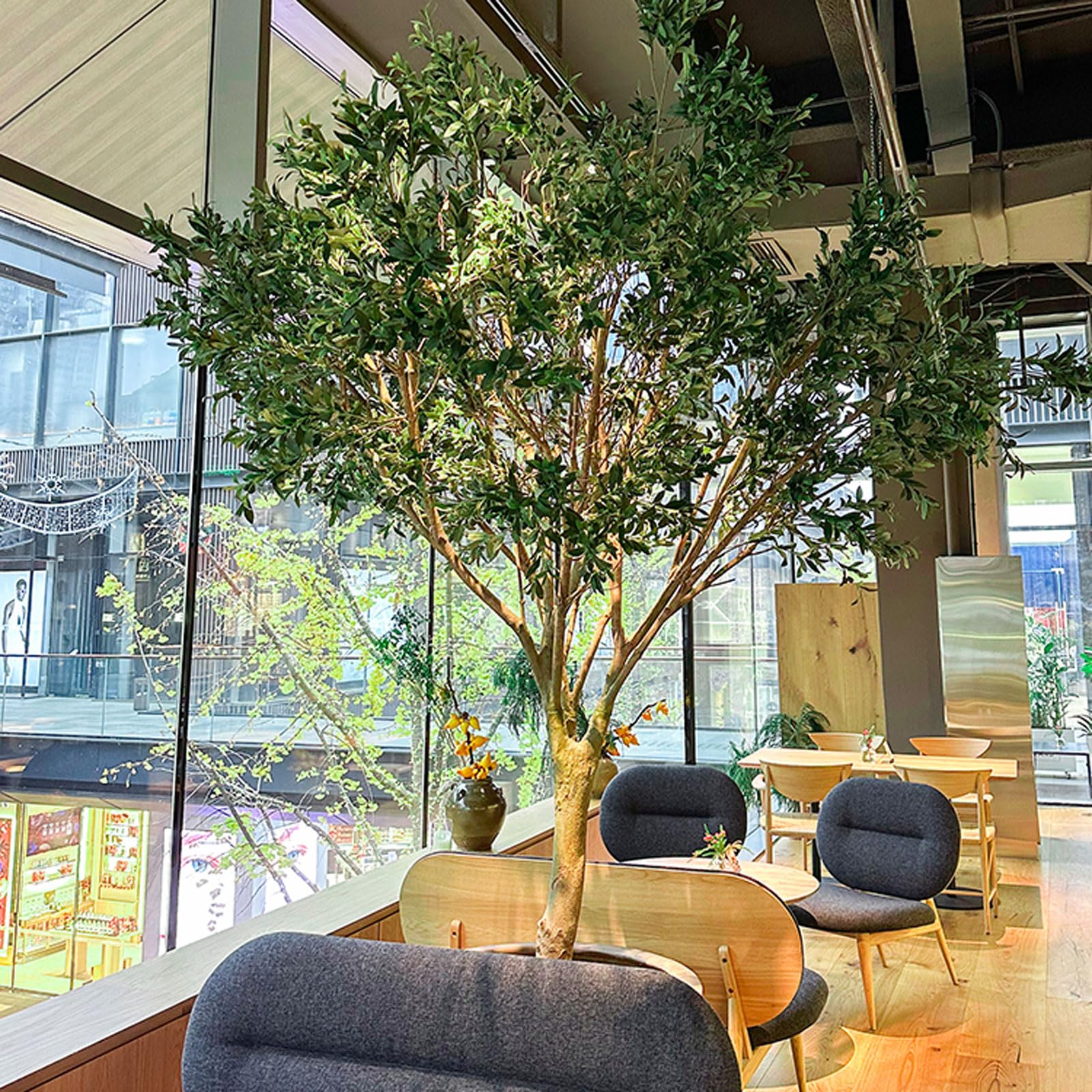 Amazon.co.jp: 背の高いフェイクオリーブの木、リアルな鉢植えの