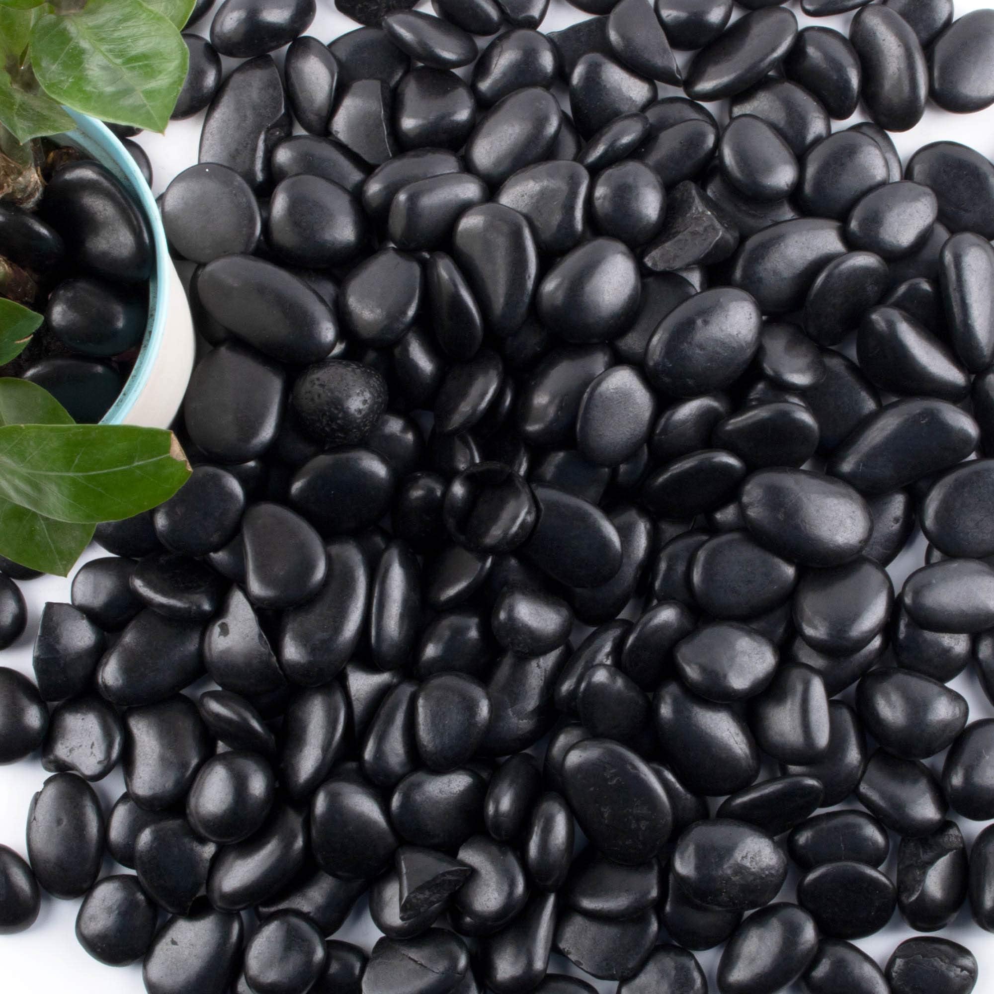 18 lb 1" Natural Polished Black River Rock for Plants,Aquarium,Vase,Garden La...