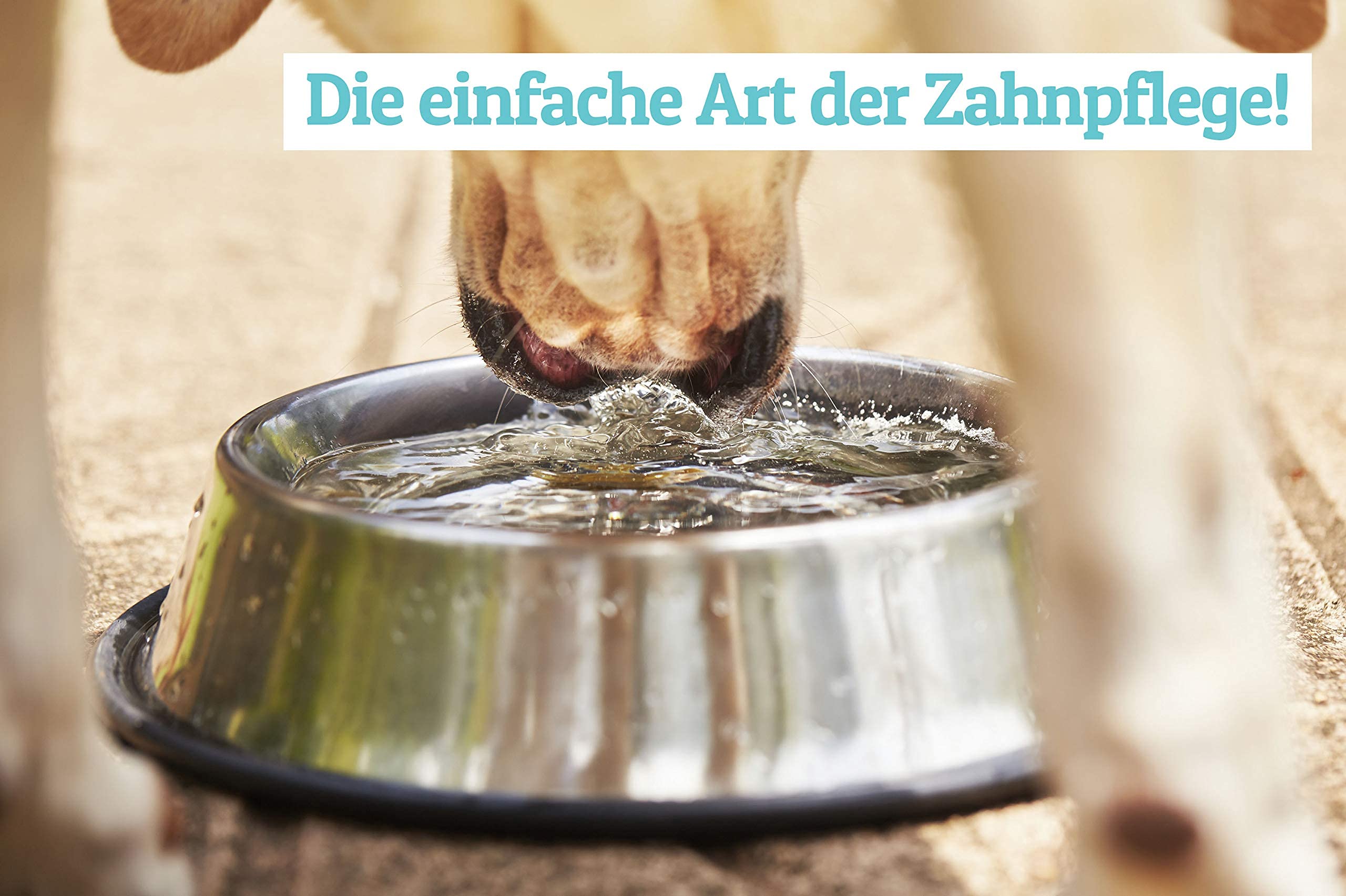 Zahnpflege Wasserzusatz für Hunde und Katzen | Frischer Atem und gesunde Zähne - Hilft Plaque und Zahnstein vorzubeugen - 500ml (Classic)