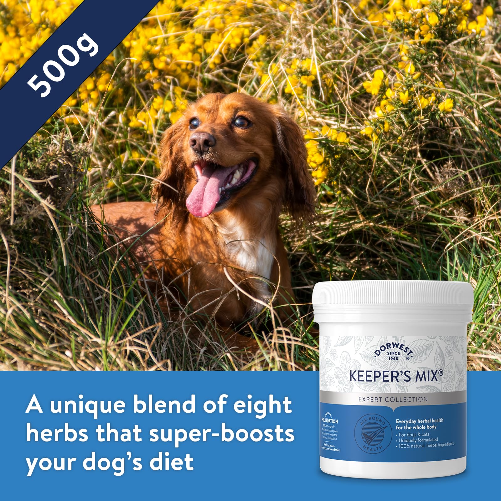 Dorwest Keepers Mix (Pot-GröÃŸe: 500g), einen Artikel