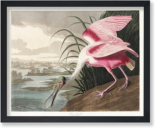 Miniatura 72 de Poster Master Póster vintage de colibríes, impresión de formas de arte retro en la naturaleza, arte de pájaros, regalo para él, ella y amante de los