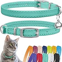 CollarDirect Mint Green Leather Cat Collar with Bell & Safety Elastic Strap - Fits Kittens & Cats 8-11" Necks