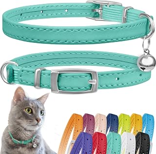 CollarDirect Mint Green Leather Cat Collar with Bell & Safety Elastic Strap - Fits Kittens & Cats 8-11" Necks