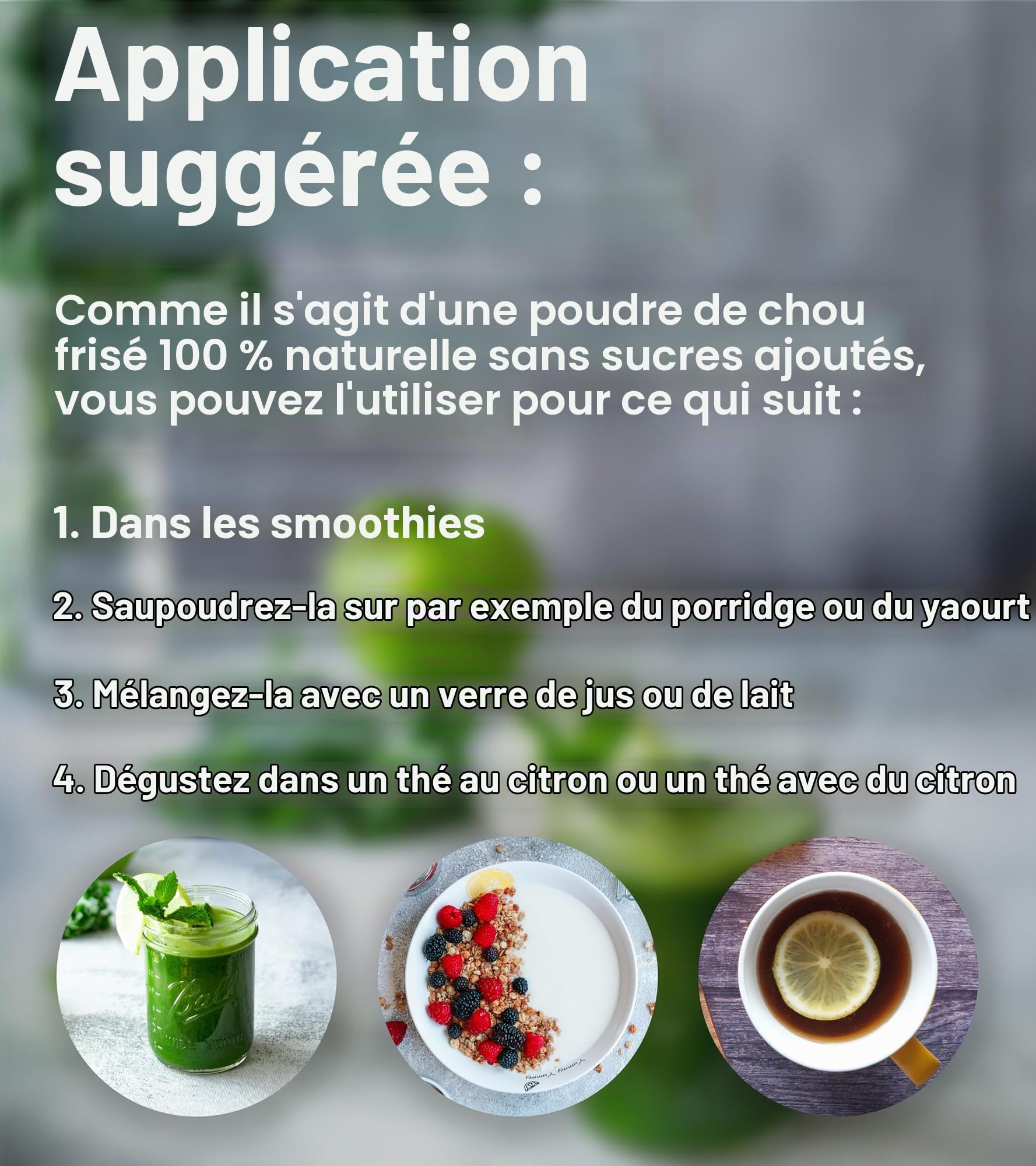 Pure Superfood Bioactive Kale Powder - 100% de Chou Frisé Lyophilisé, Haute Teneur en Protéines, Kalzium, Vitamine C et K. Riche en Antioxydants, 9 Acides Aminés Essentiels, 25 x 2g