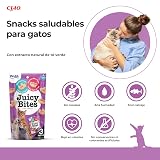 Ver la foto 2