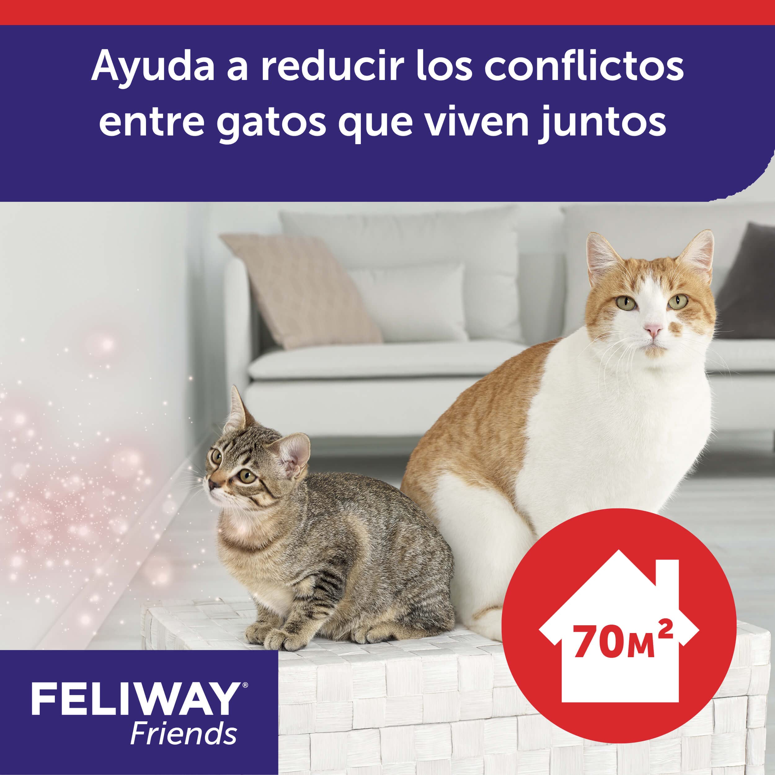 Feliway Friends Ricarica, 48 ml, 3 pezzi