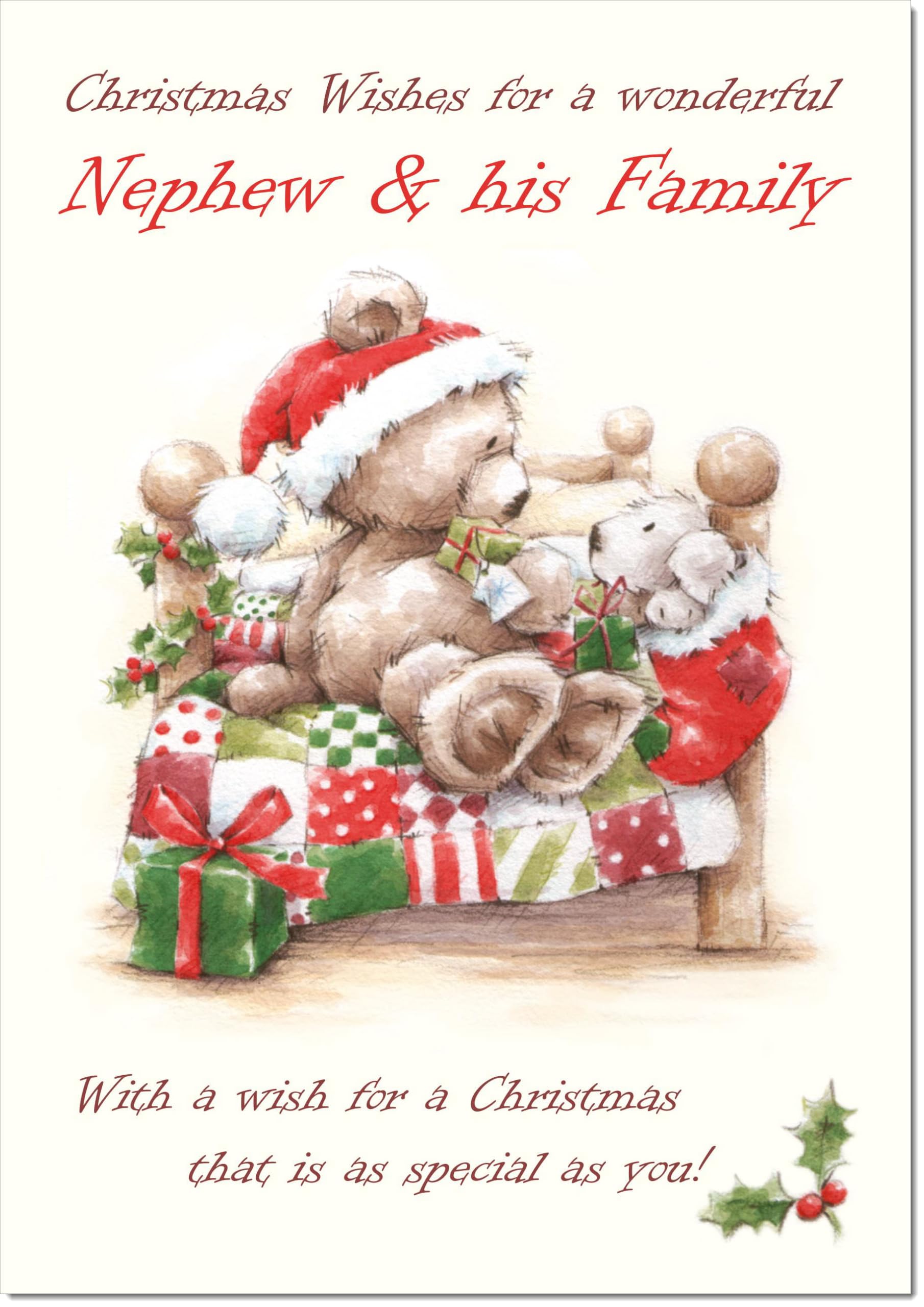 doodlecards Nephew and Family Christmas Card Cute Bear on Bed Large A4 Size Christmas Card for Nephew & Family with Plain Envelope — image 1