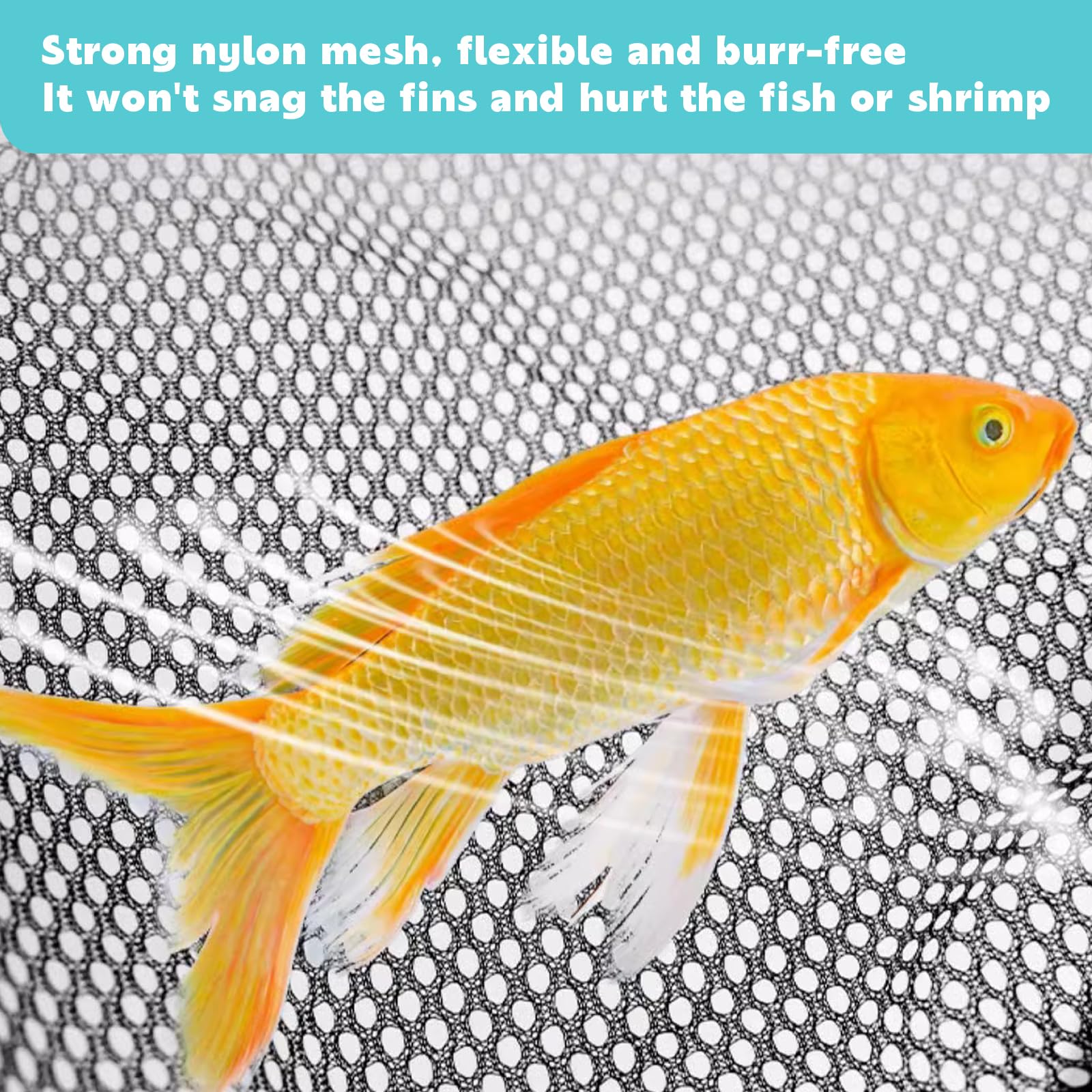 Rete Da Pesca Per La Cattura Di Pesci E Farfalle Isolata Su Sfondo Bianco Schizzo - Foto 8