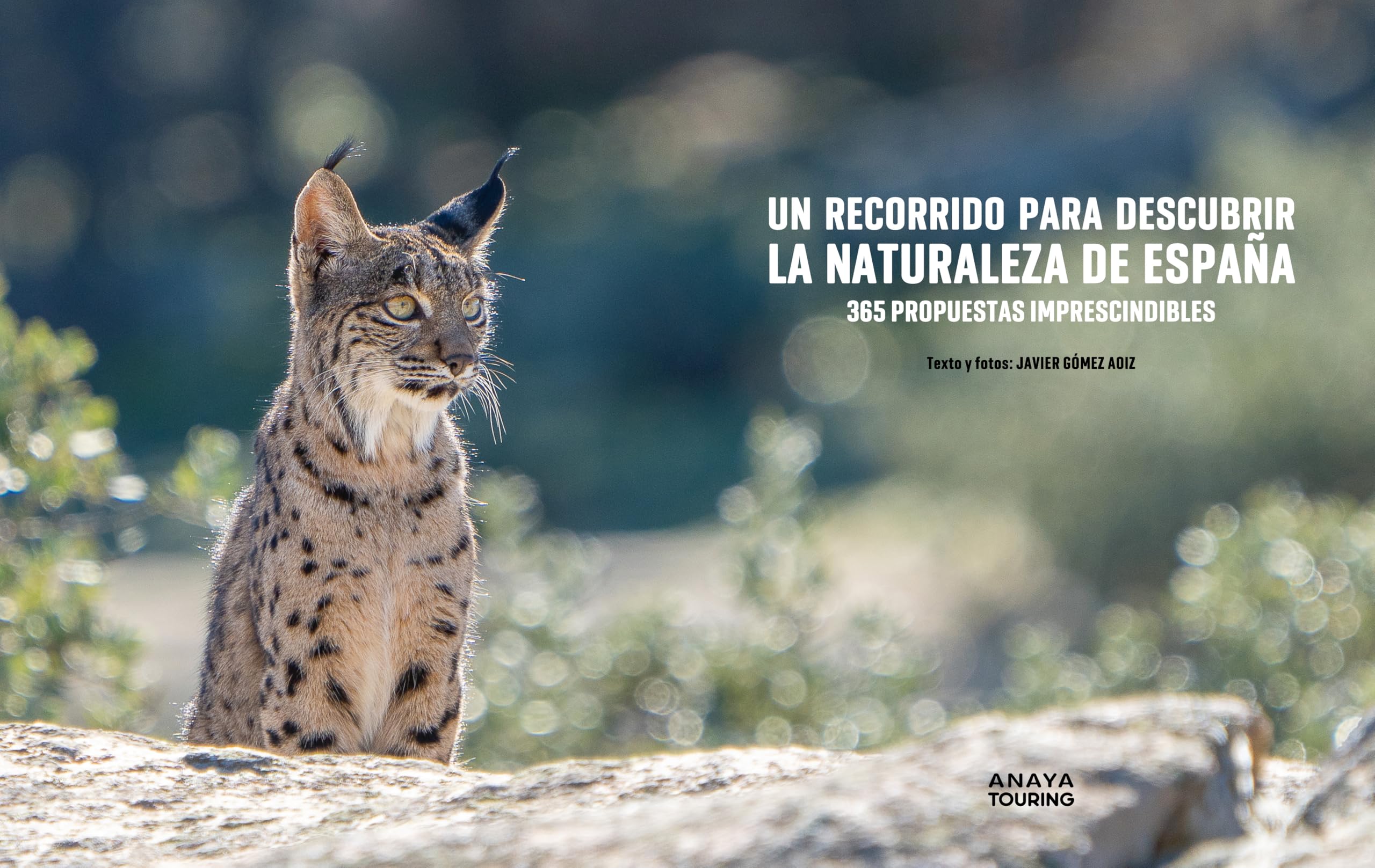 Un recorrido para descubrir la Naturaleza de España.: 365 Propuestas imprescindibles (Guías Singulares)