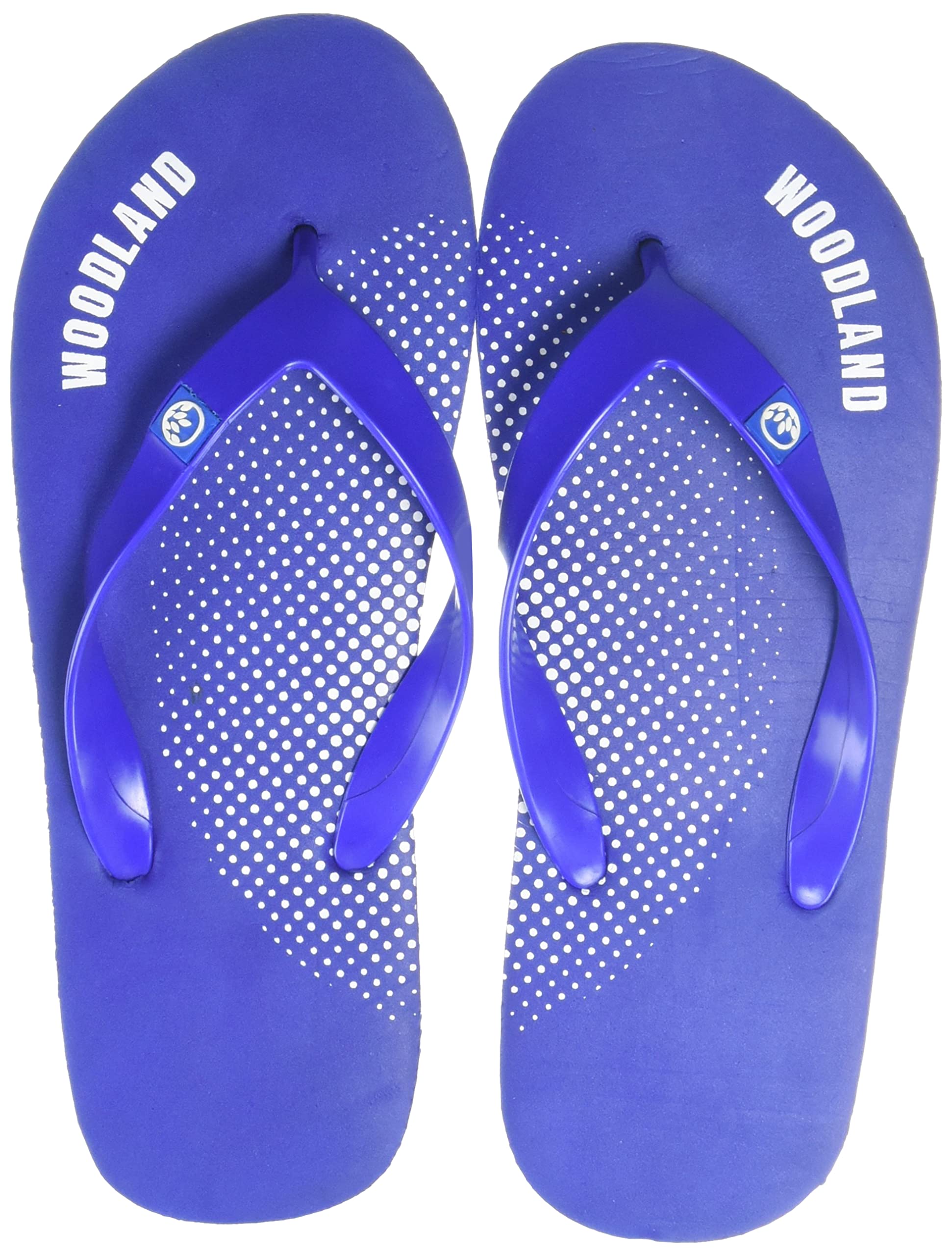 Woodland Mens Rblue Flip Flop-8 UK (42 EU) (FF 3843021) (B0B1WTFSC6) Amazon Price History, Amazon Price Tracker