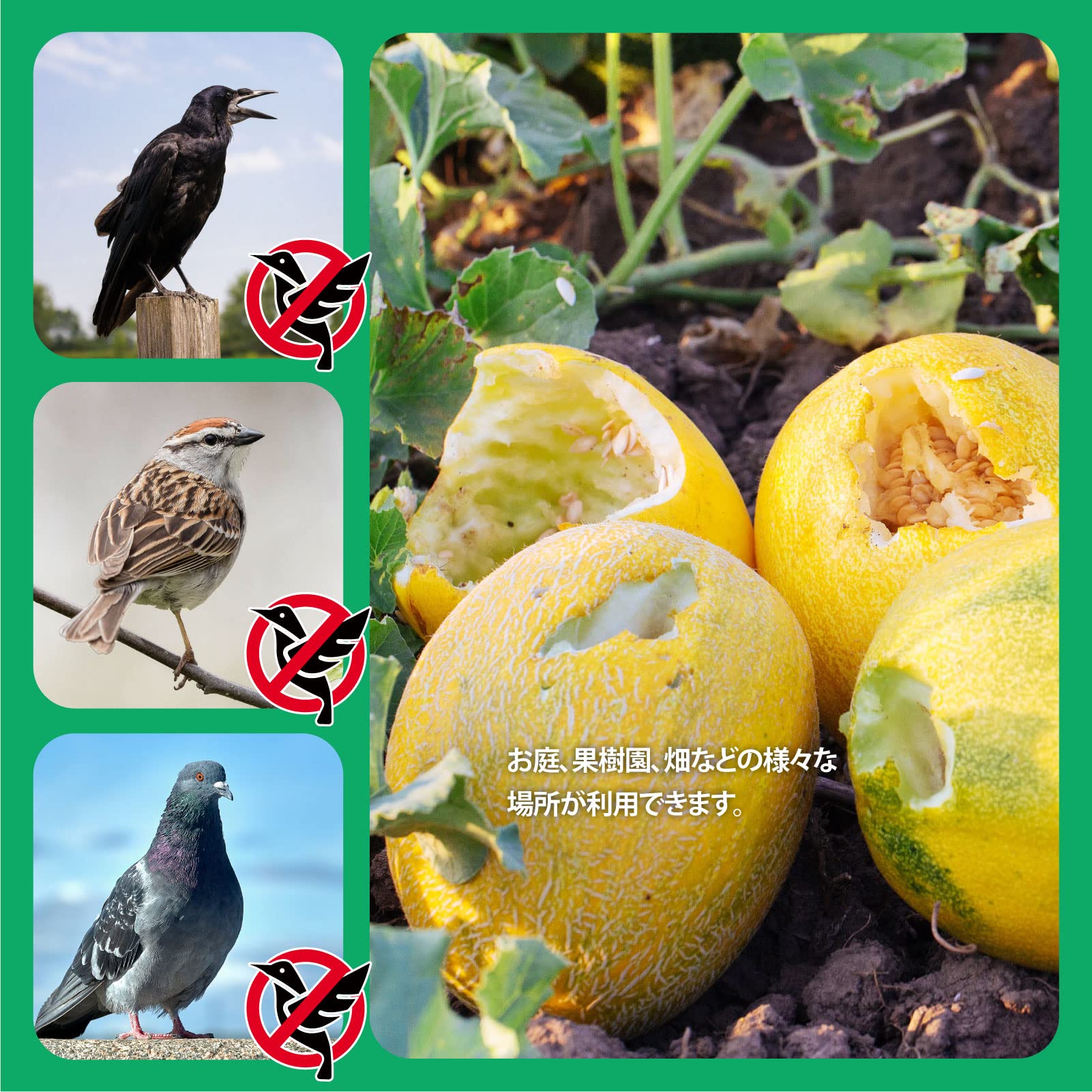 Amazon.co.jp: 鳥よけ カイト 鷹 (ポール竿付) 軽量丈夫 防鳥具 鳥追い