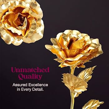 81RALa5OHEL._AC_UF350,