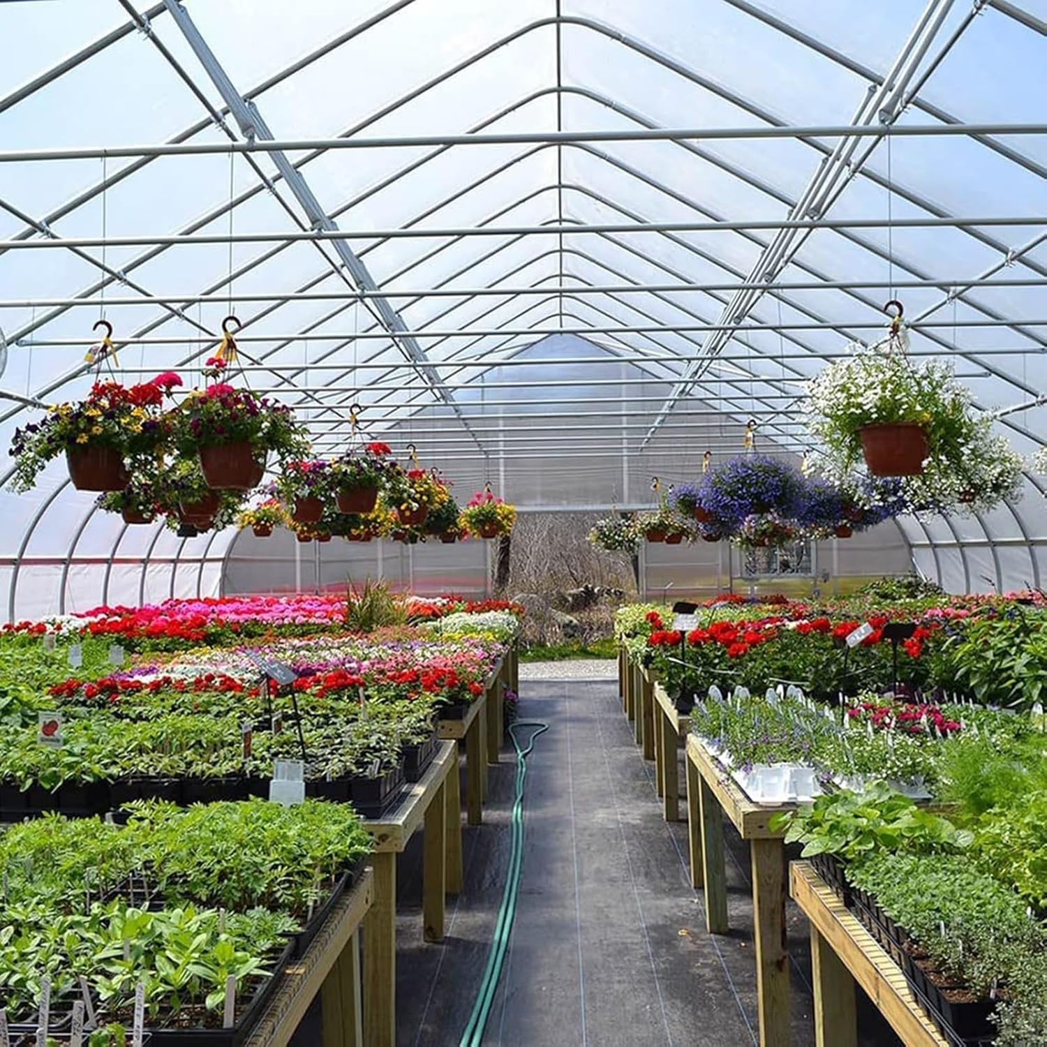 bujnie Polycarbonate Sheets Roof Sheets Transparent Thermal Insulation Daylight Panels Suitable for Greenhouses, Sun Rooms, Terraces, Doors and Windows (1.2x25m/3.94x82ft)