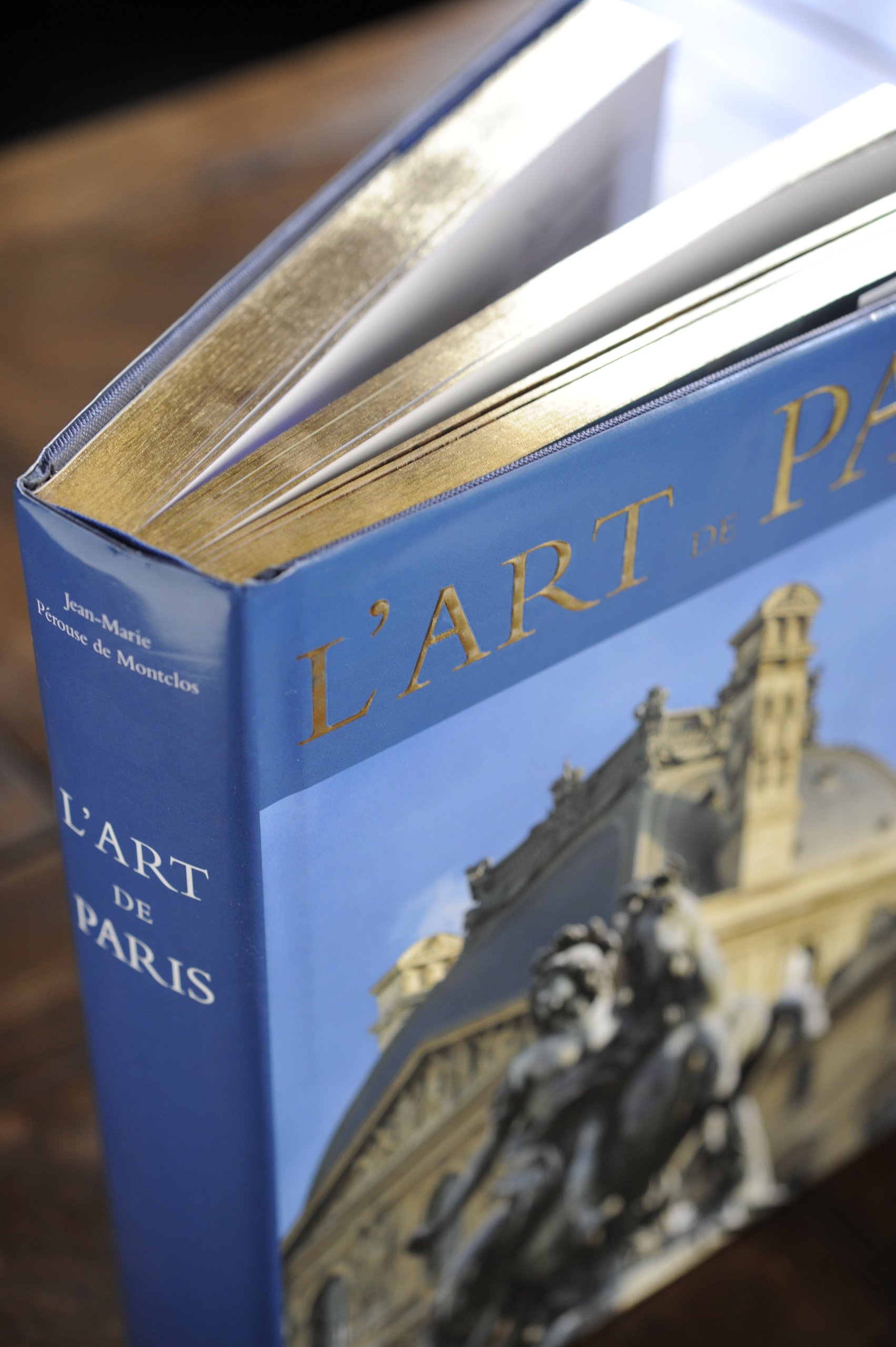 L'art de Paris (Ancien prix éditeur : 99 euros)