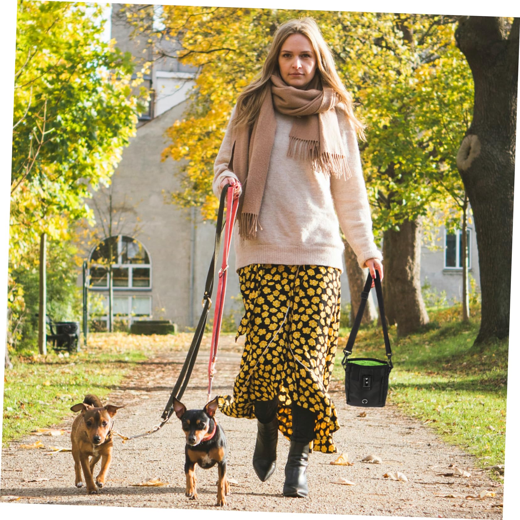 VANZACK Hunde Snackbeutel aus Robustem Material für Leckerlis Snacks Trockenfutter und Spielzeug mit Tragegurt Pfeife und Clicker für Training für Gassi-gänge