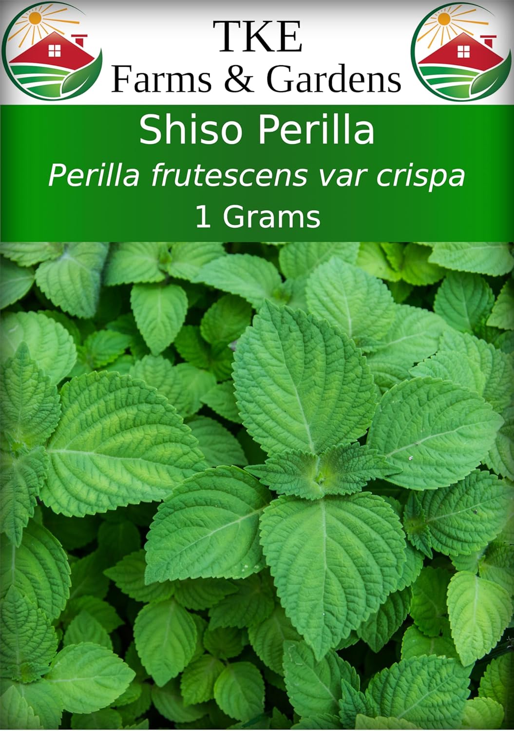 TKE Farms & Gardens Shiso Perilla Seeds