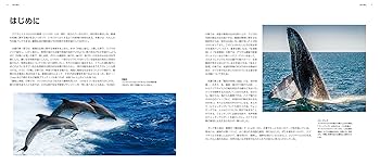 Amazon.co.jp: 世界のクジラ・イルカ百科図鑑 : アナリサ