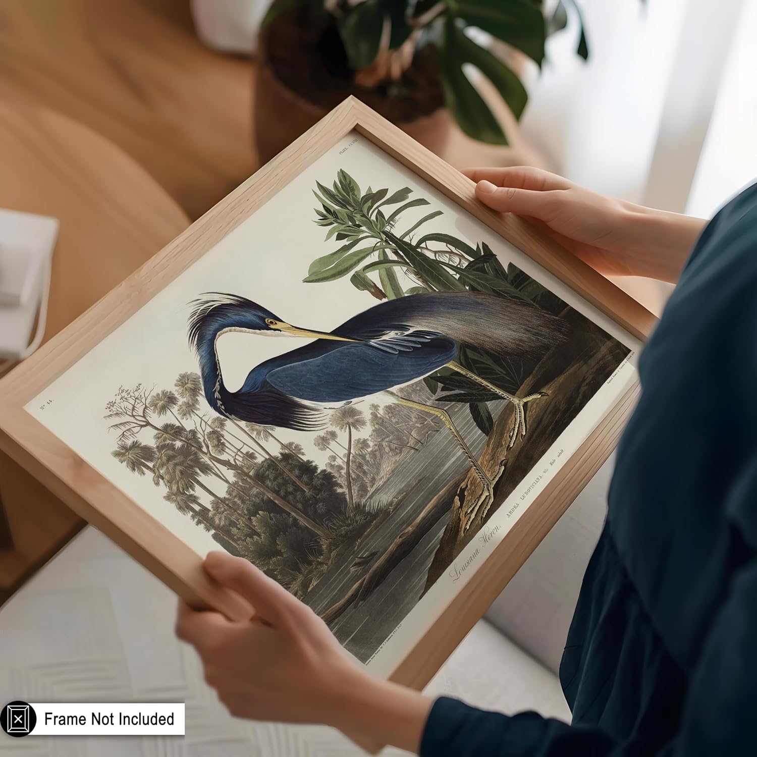 Poster Master Vintage James Audubon Poster - Retro Louisiana Heron Print - Birds of America Art - Gift for Men, Women & Animal Lover - Decor for Dorm, Living Room or Bedroom - 8x10 UNFRAMED Wall Art